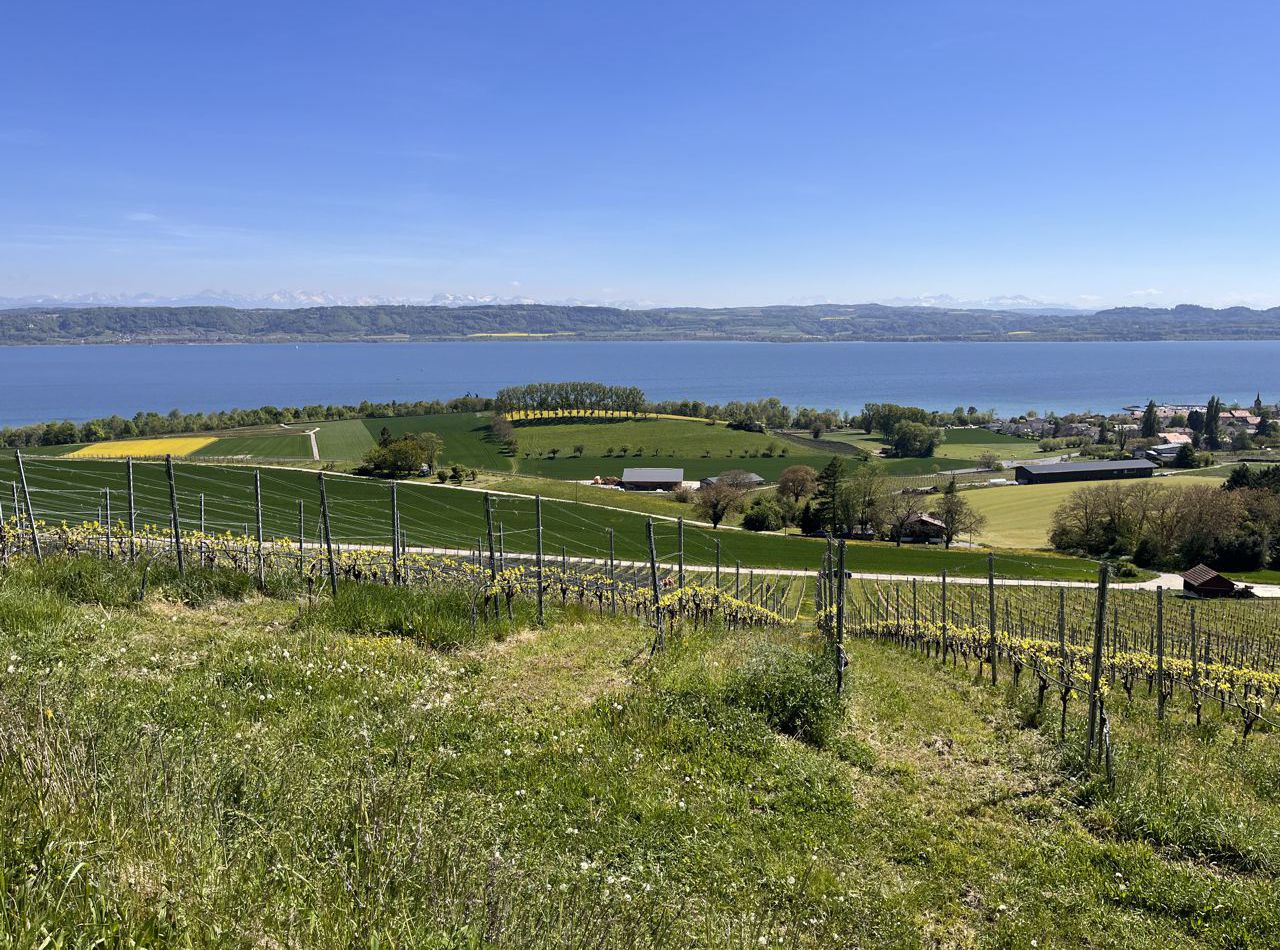 Site des premiers combats